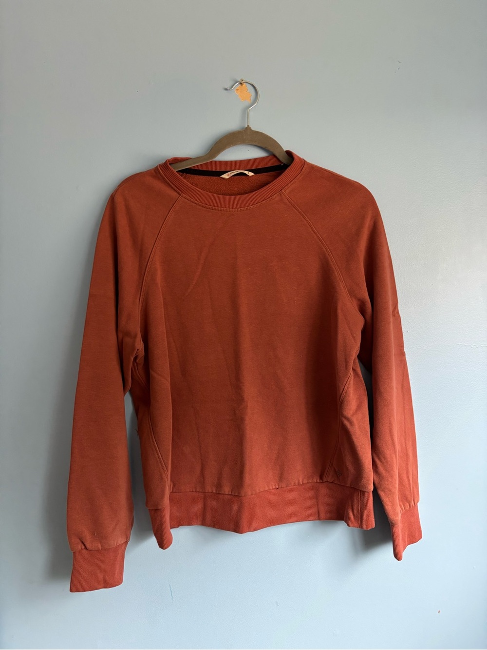 Everyday Raglan Crewneck Sweater in Rust Orange
